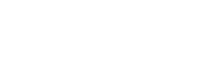 Dataelio